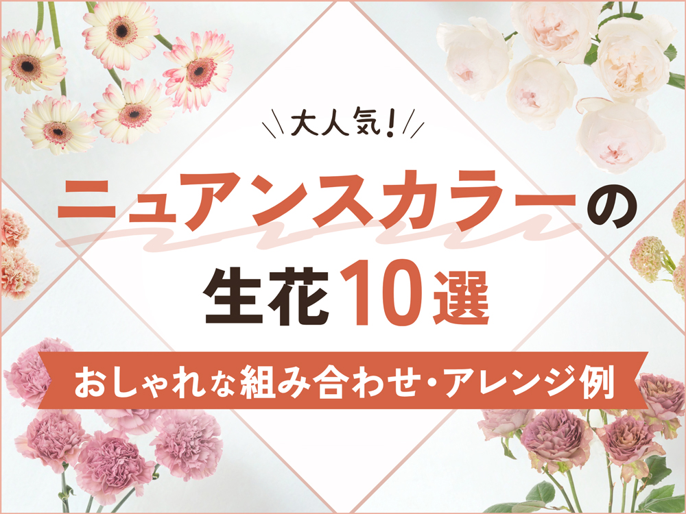 人気のニュアンスカラーの生花10選！おしゃれな組み合わせとアレンジ例