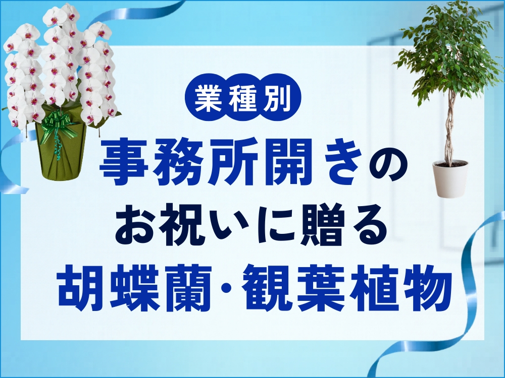 事務所開きのお祝いに最適な胡蝶蘭・観葉植物｜贈り物のマナーや注意点も解説！
