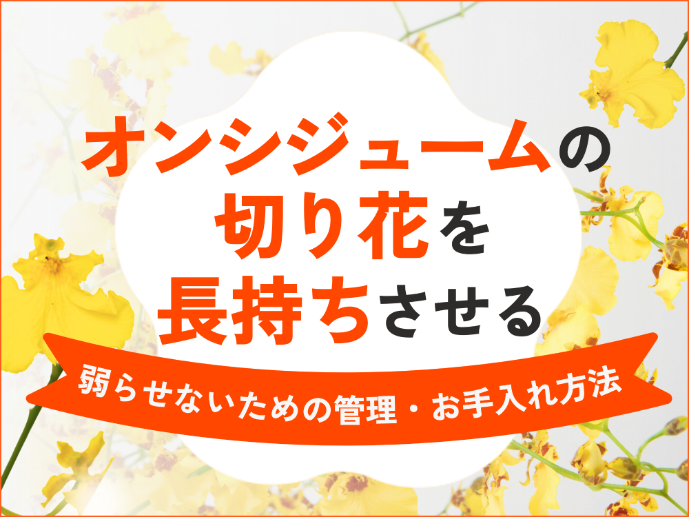 オンシジュームの切り花を長持ちさせるには？弱らせないための管理・お手入れ方法