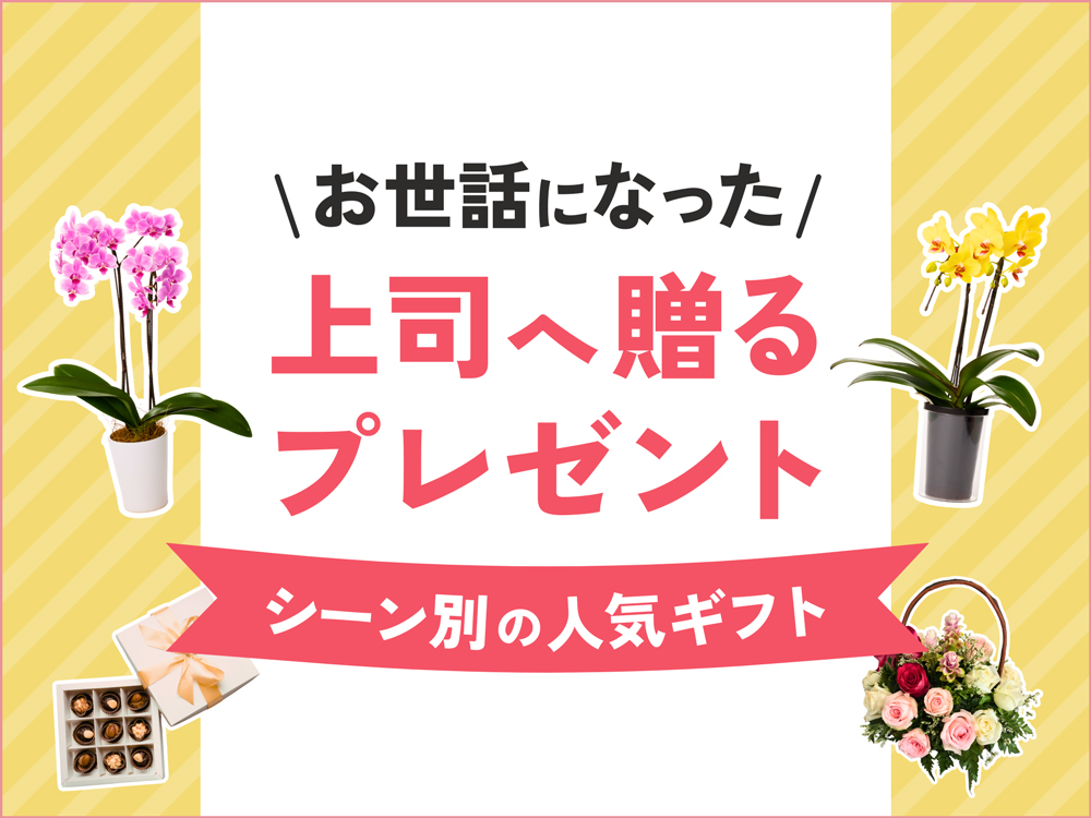 お世話になった上司へのプレゼント選び｜シーン別の人気ギフト・胡蝶蘭を紹介！