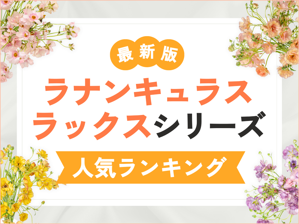 【最新】ラナンキュラス・ラックス人気ランキング｜切り花の注目品種を紹介