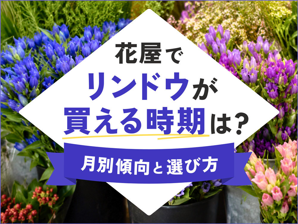 花屋でリンドウが買える時期はいつ？月別の出回り傾向と選び方のポイント