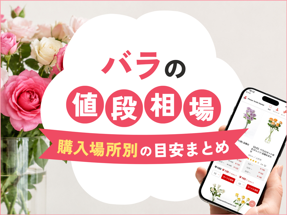 【最新】バラの値段相場ガイド｜購入場所別の価格から安く買うコツまで徹底解説