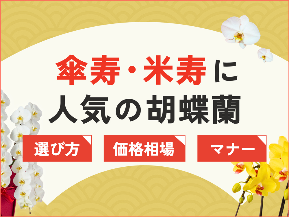 傘寿・米寿祝いに人気の胡蝶蘭3選｜選び方・価格相場やマナーも解説