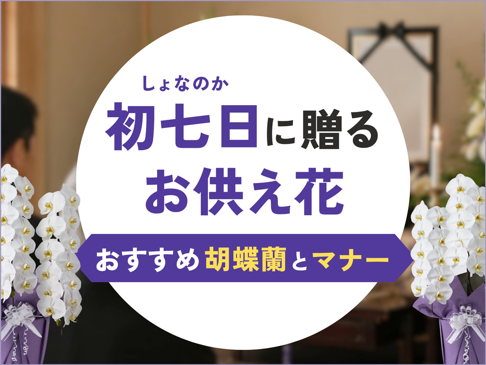 初七日のお供えに贈る花｜最適な胡蝶蘭と予算・サイズ選び