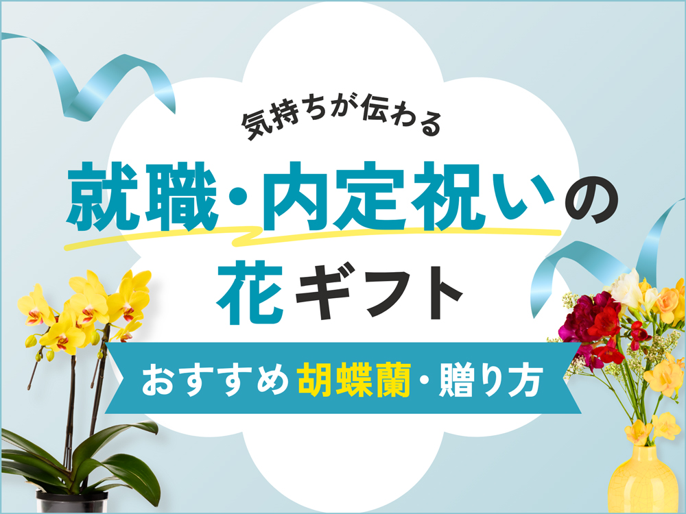 就職祝い・内定祝いに贈る人気の花ギフト｜プレゼントに最適な胡蝶蘭と贈り方