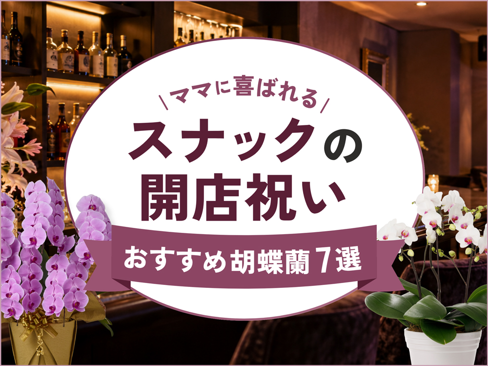 スナックの開店祝いに！ママに喜ばれる胡蝶蘭ギフトの選び方