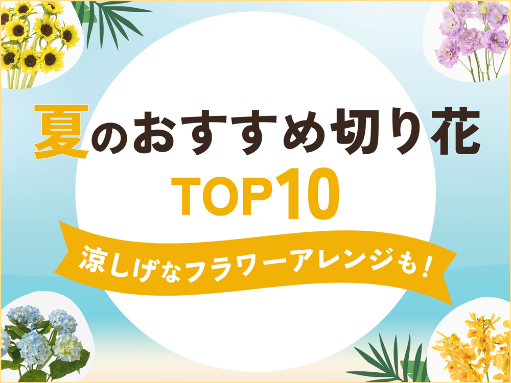 夏におすすめの切り花TOP10！暑さに強い花や涼しげなフラワーアレンジを紹介
