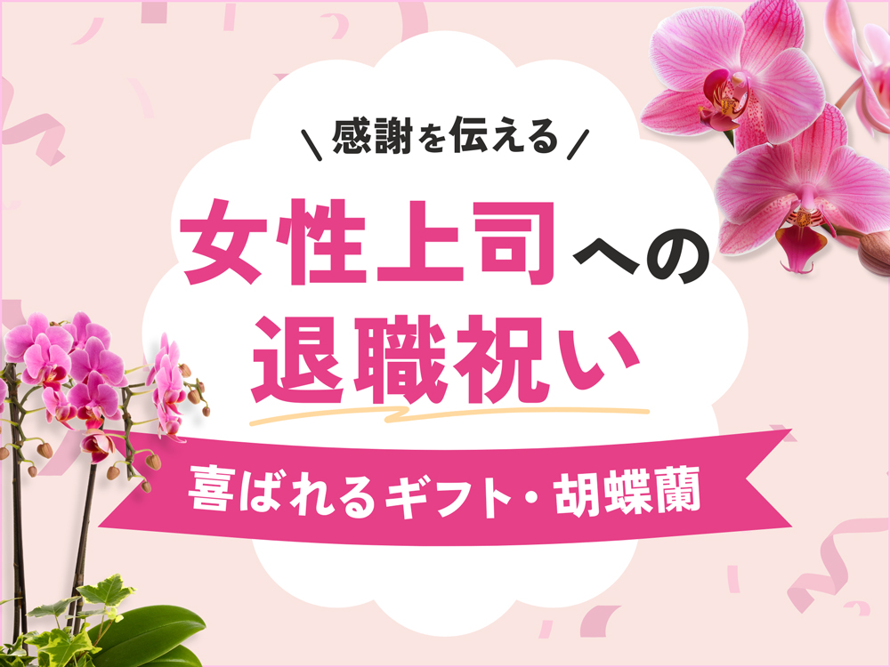 女性上司に感謝が伝わる退職祝い｜喜ばれるギフト・胡蝶蘭選びとマナー