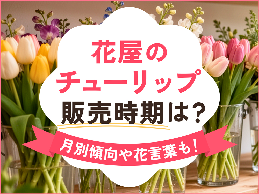 花屋でチューリップが買える時期はいつ？月別の出回り傾向や花言葉も解説