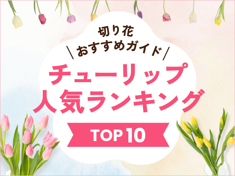 チューリップ人気ランキング【最新版】切り花のおすすめ品種と選び方ガイド