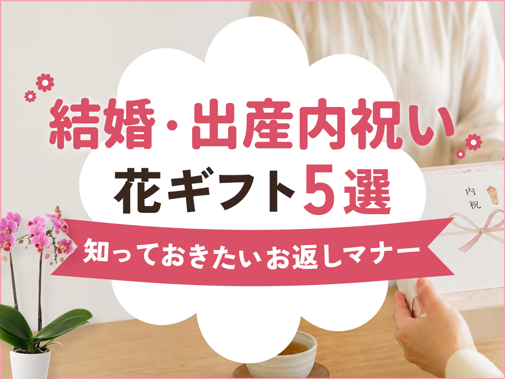 結婚・出産内祝いに贈る花5選！お返しマナーや人気の胡蝶蘭ギフトも紹介