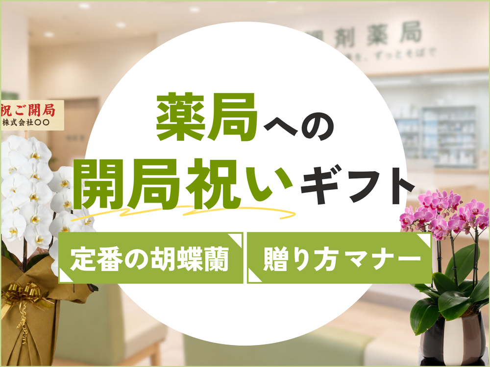 薬局・ドラッグストアの開局祝い｜定番の胡蝶蘭や贈り方マナーを解説
