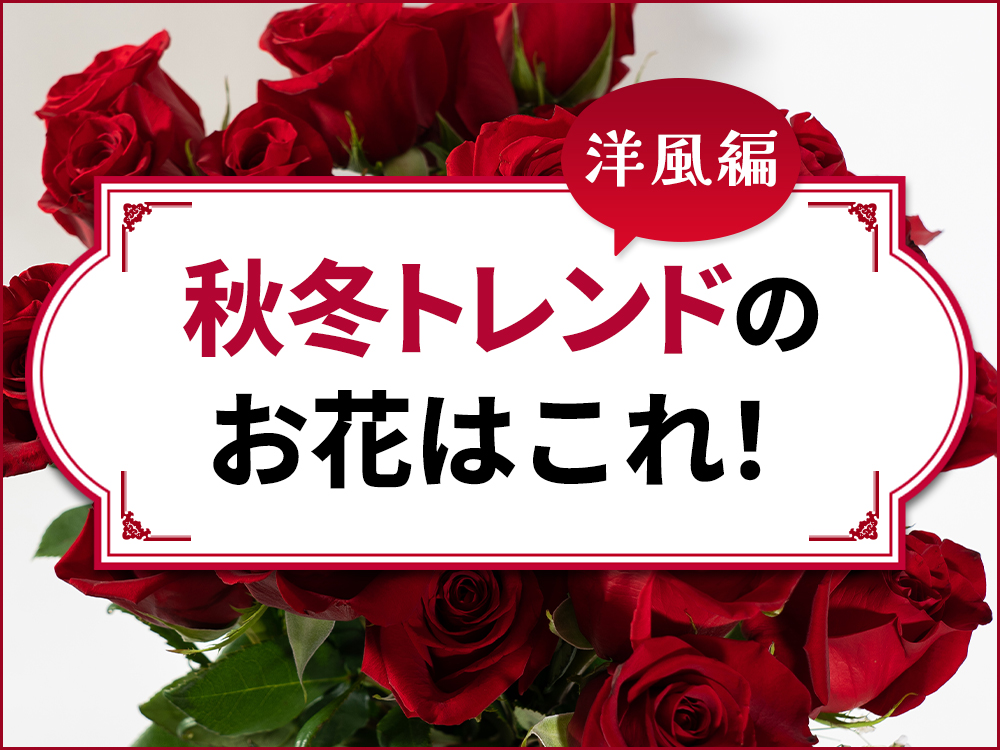秋冬トレンドのお花紹介【洋風編】簡単に可愛く飾るコツは？