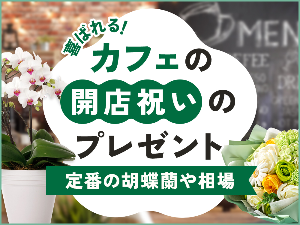 カフェの開店祝いに贈りたいおしゃれなギフトを紹介｜定番の胡蝶蘭や相場を徹底解説
