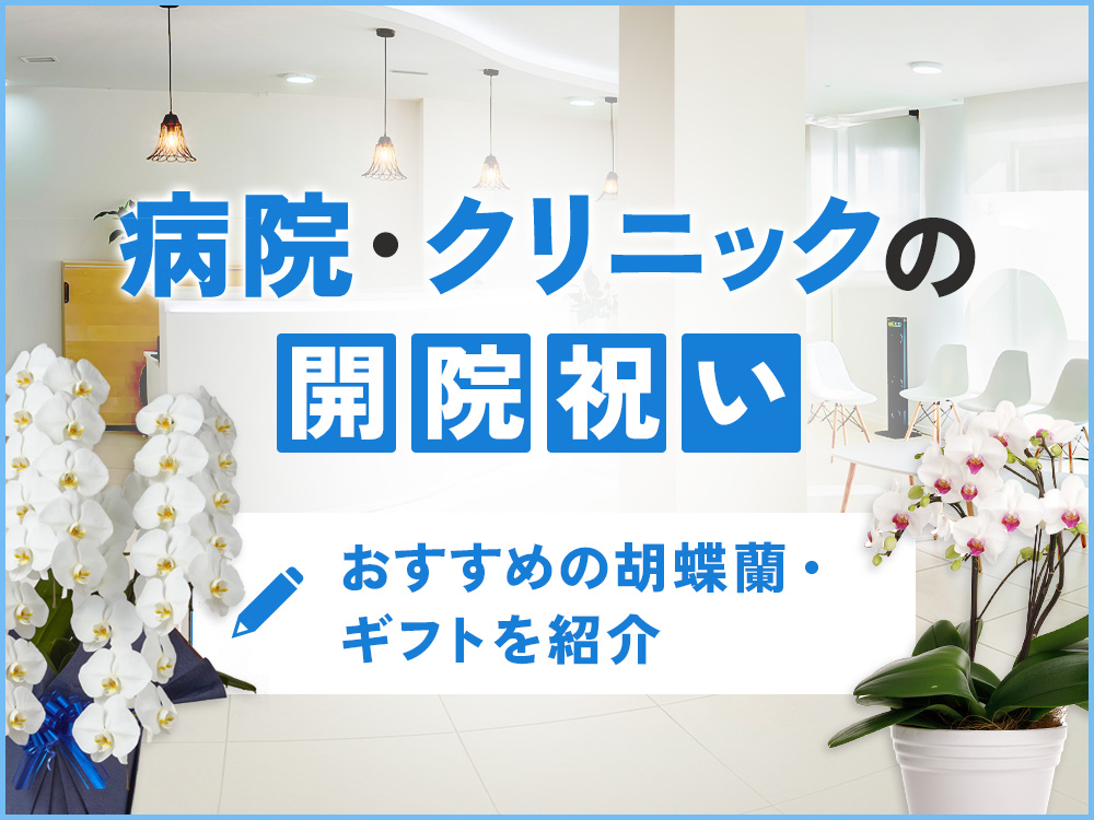 病院やクリニックの開院祝いに人気の胡蝶蘭とギフト完全ガイド｜予算相場・メッセージ例