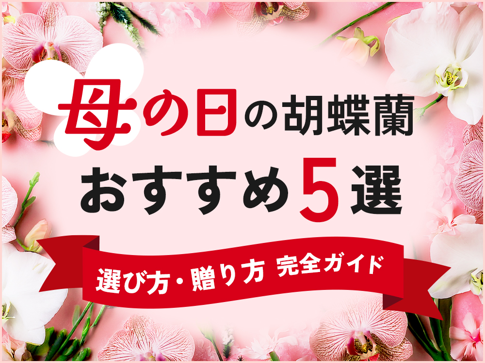 胡蝶蘭　生花　母の日 生花 母の日 胡蝶蘭」の人気商品一覧 | 安い商品を通販サイト