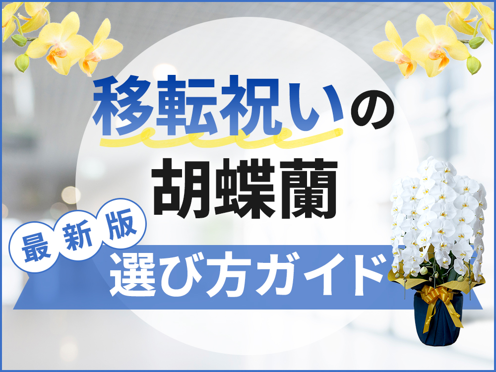 法事や御祝い事に 楽天市場】敬老の日 ギフト プレゼント 孫 から おばあちゃん
