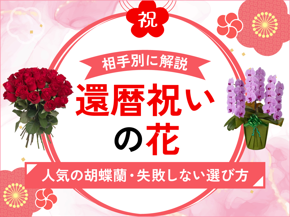 喜ばれる還暦祝いのお花を紹介！人気の胡蝶蘭や失敗しない選び方を徹底解説