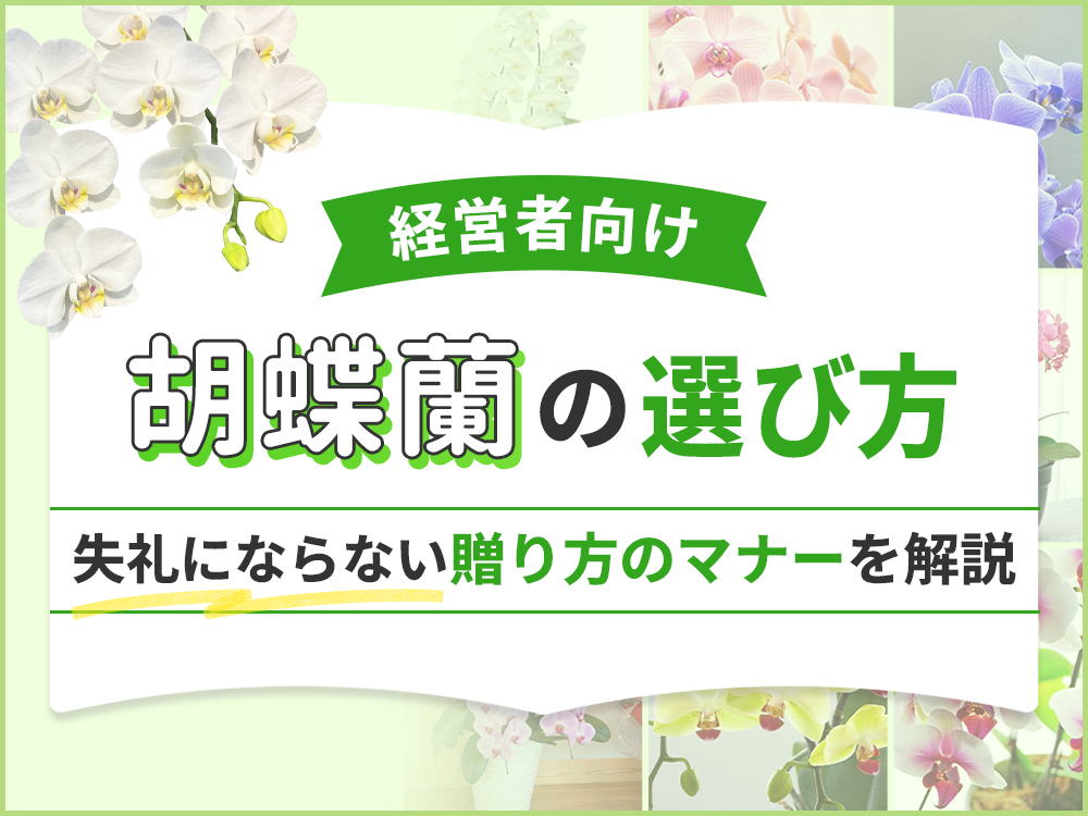 経営者が喜ぶ法人向け胡蝶蘭の選び方とは？印象に残る贈答のコツを伝授！