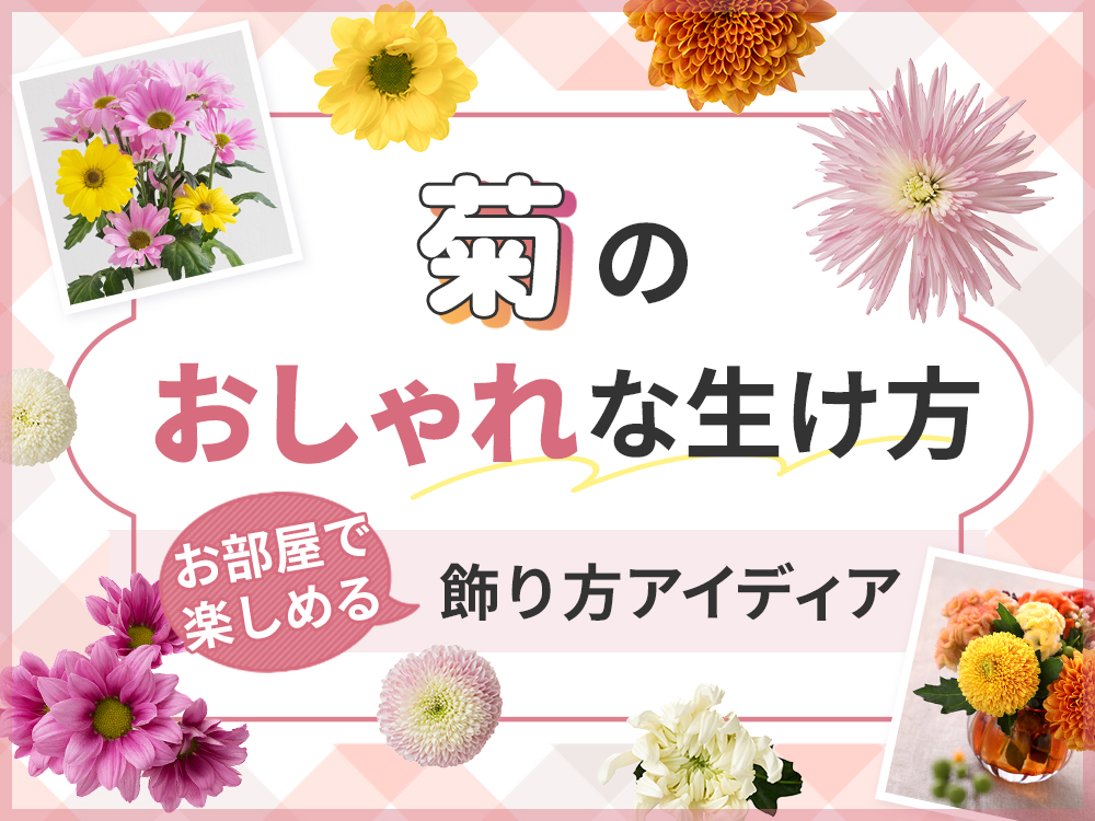 菊のおしゃれな生け方講座！仏壇以外でも楽しめる飾り方を紹介