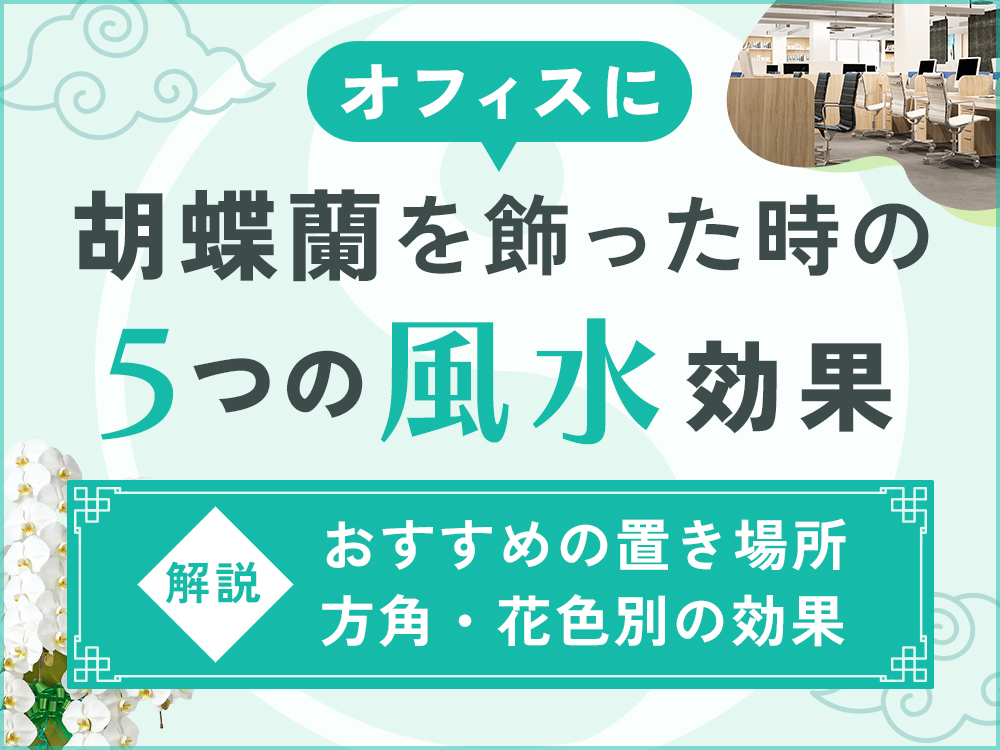 【風水活用】胡蝶蘭がオフィスにもたらす5つの実践的メリット