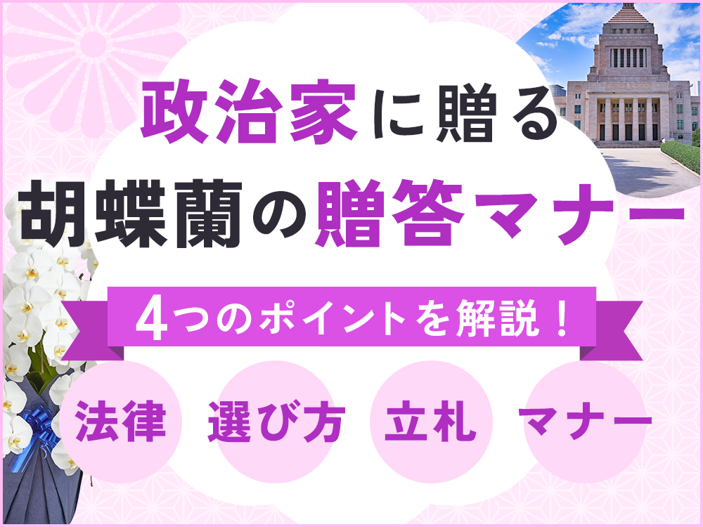 【完全ガイド】政治家への胡蝶蘭贈答マナー：品格と配慮を両立する4つのポイント