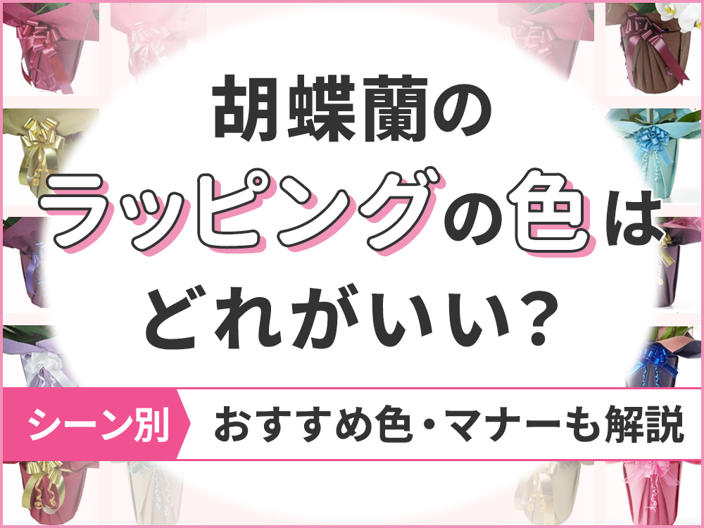 【シーン別】胡蝶蘭のラッピングの色｜失敗しない選び方＆マナーを解説