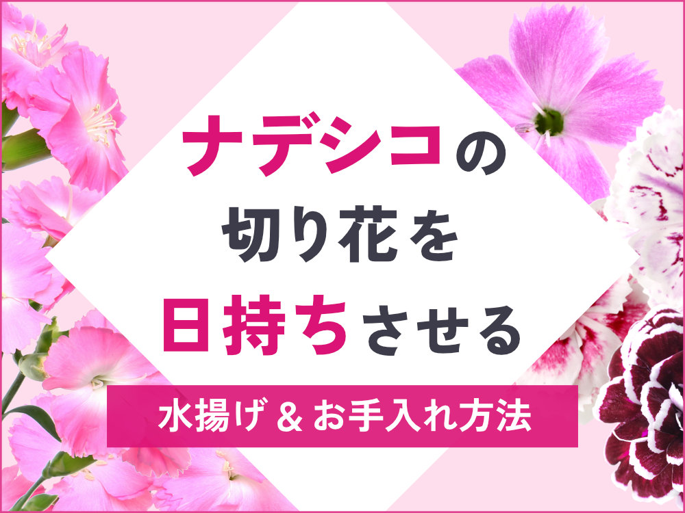 ピンクのススキと秋の小花 ドライフラワースワッグ お月見にも！花瓶