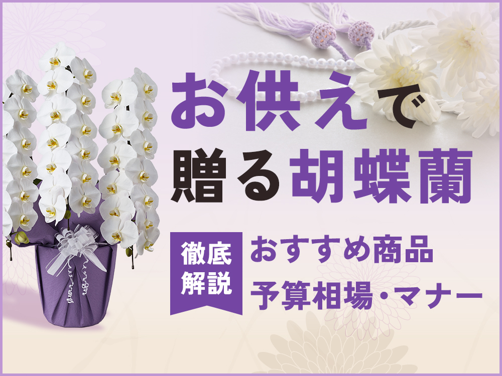 お供え用のおすすめ胡蝶蘭を紹介！シーン別の予算相場やマナーも解説