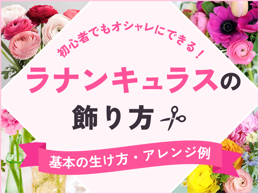 【初心者向け】ラナンキュラスの飾り方！基本からアレンジまでおしゃれに飾るコツ