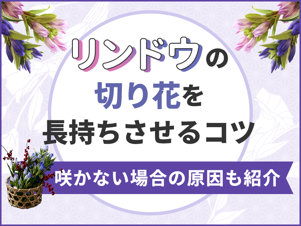 リンドウの切り花を長持ちさせる方法を徹底解説！咲かない場合の原因も紹介