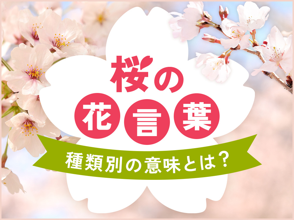桜（サクラ）の花言葉と由来｜種類別の意味や誕生花の日付も紹介