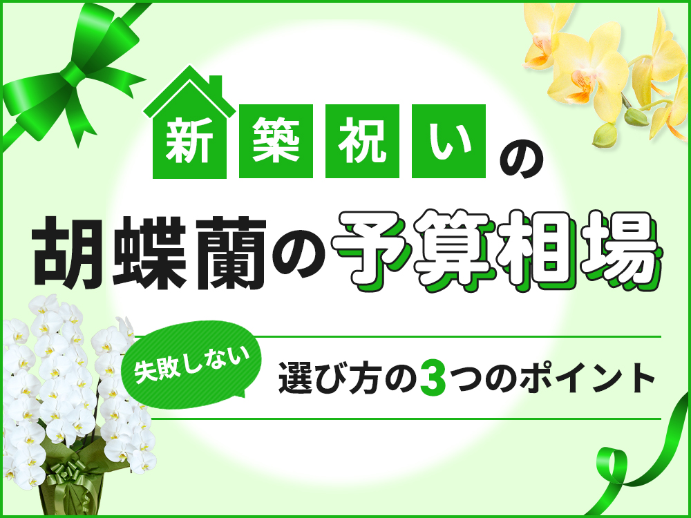 【保存版】新築祝い胡蝶蘭の相場と失敗しない3つのコツ