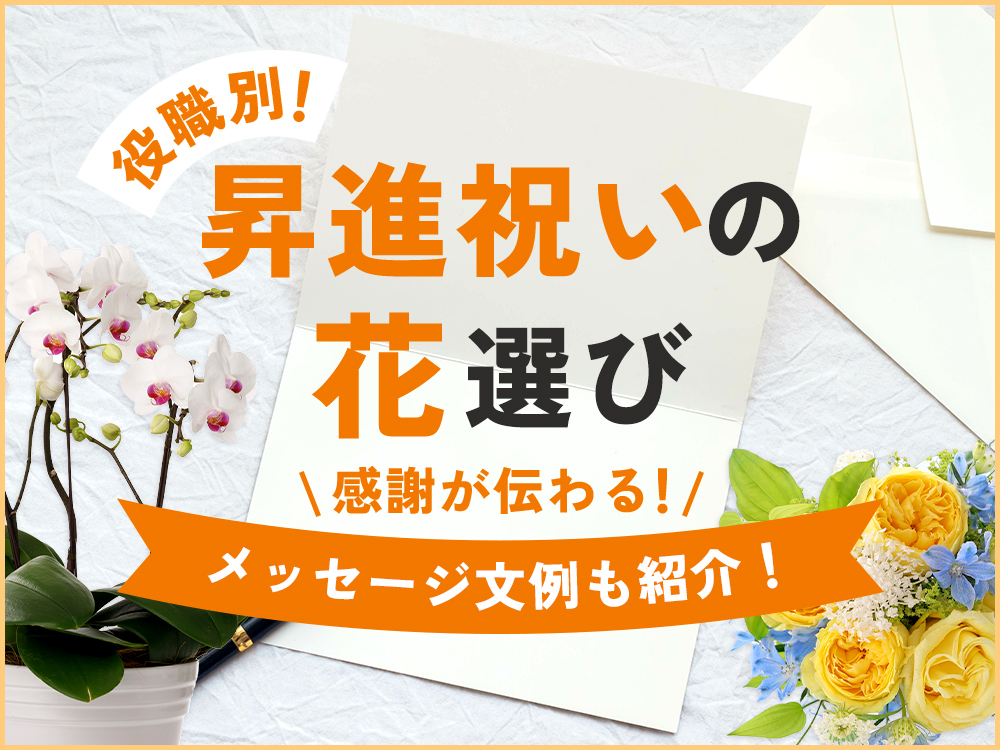 昇進祝いのお花選び！役職別に贈る胡蝶蘭とメッセージ例を紹介
