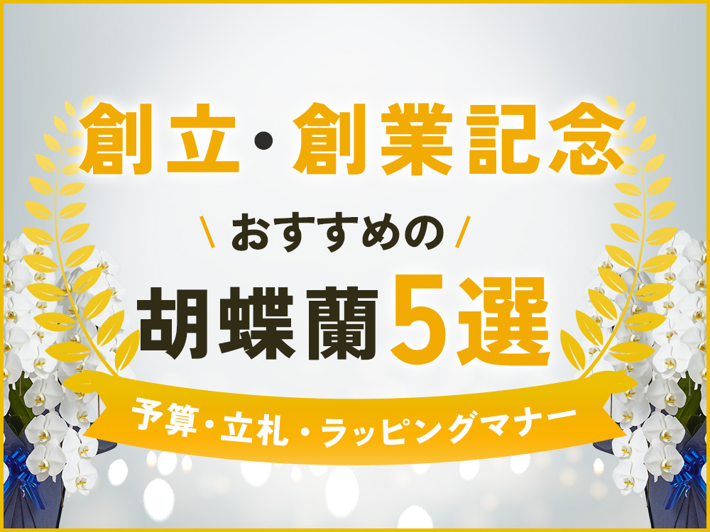 創立記念・創業記念のお祝い花なら胡蝶蘭！おすすめ5選と予算・マナーを解説