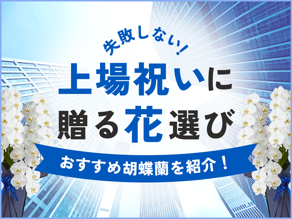 上場祝いに贈る胡蝶蘭5選｜相場から立札マナーまで徹底解説！