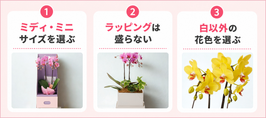 脱・ビジネス感！「センスいい」と思わせる胡蝶蘭の選び方