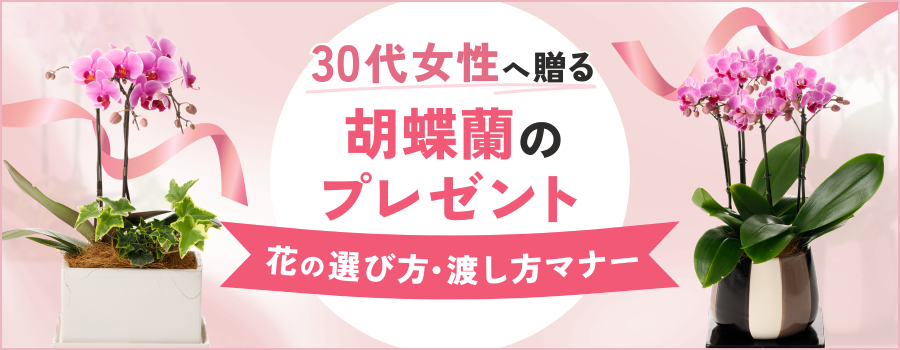 30代女性へ贈る胡蝶蘭のプレゼント