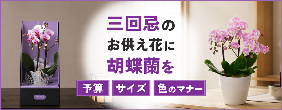 三回忌のお供え花に胡蝶蘭を
