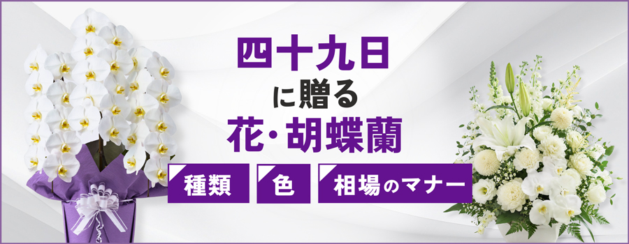 四十九日に贈る花・胡蝶蘭