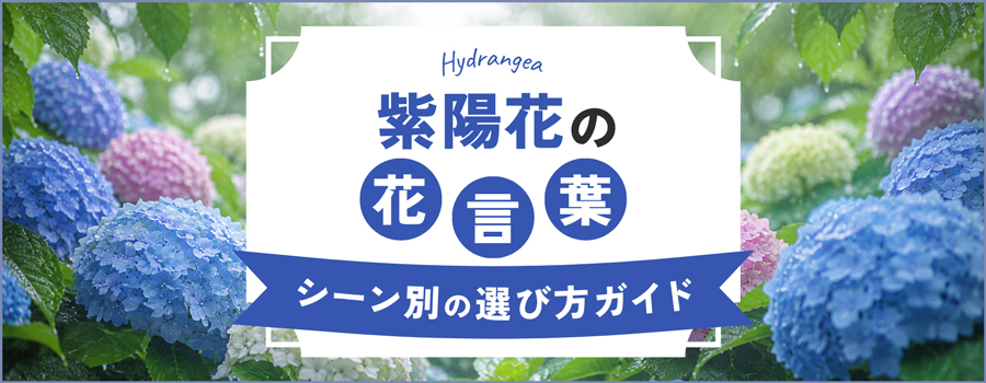 紫陽花の花言葉