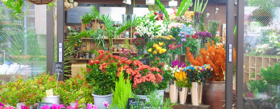 【購入場所別】紫陽花の切り花の値段相場