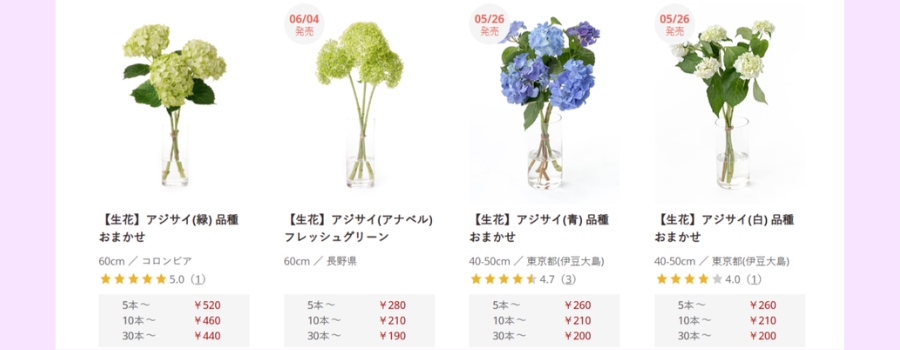 【本数別】紫陽花の価格相場｜花屋と卸売サイトで比較