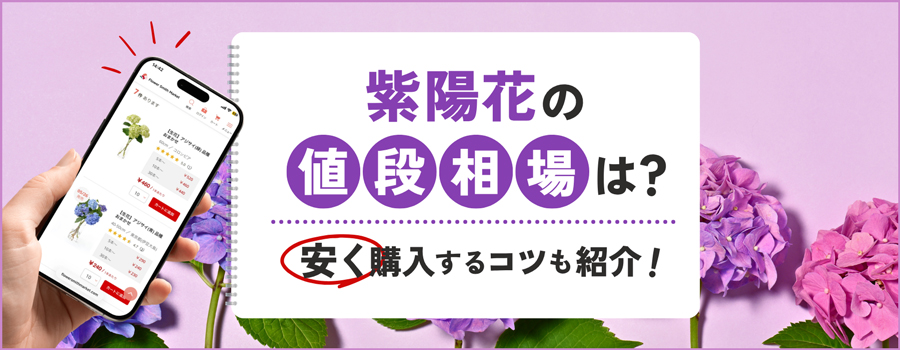 紫陽花の値段相場は？