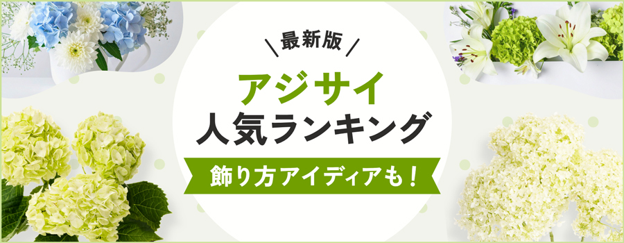 アジサイ人気ランキング