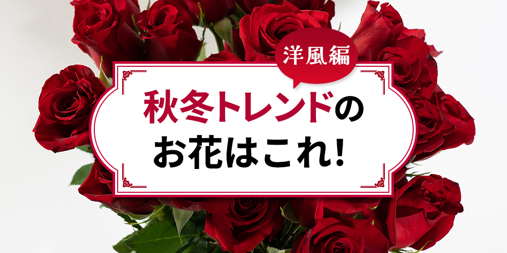 秋冬トレンドのお花紹介【洋風編】簡単に可愛く飾るコツは？