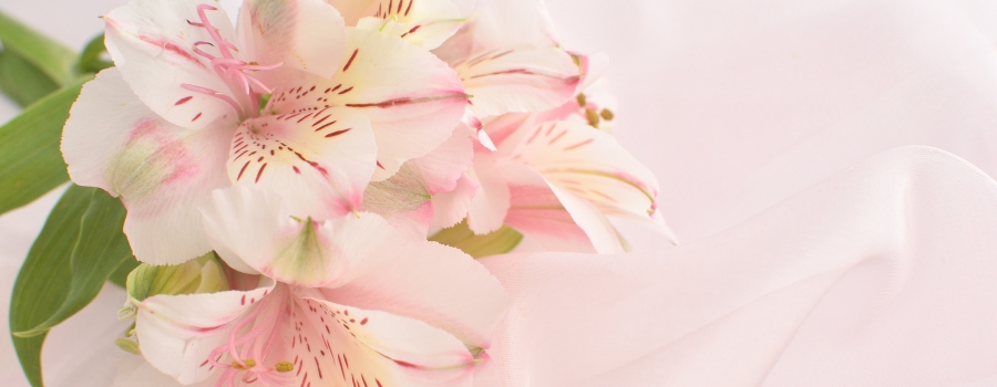 アルストロメリアの全体の花言葉