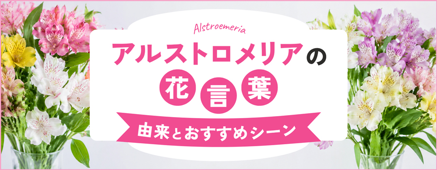 アルストロメリアの花言葉