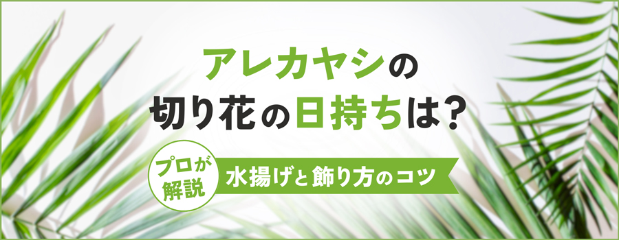 アレカヤシの切り花の日持ちは？